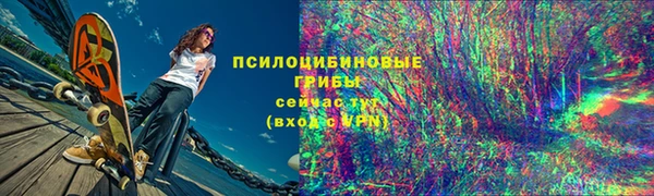 ПСИЛОЦИБИНОВЫЕ ГРИБЫ Дмитровск