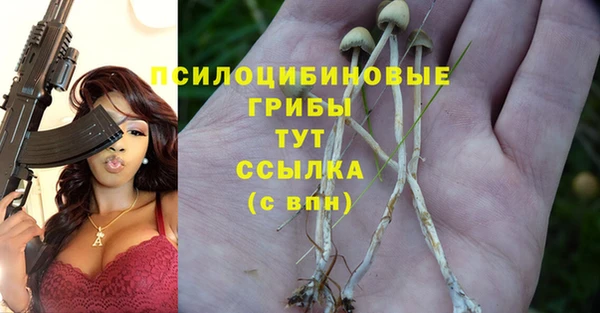 амф Лагань