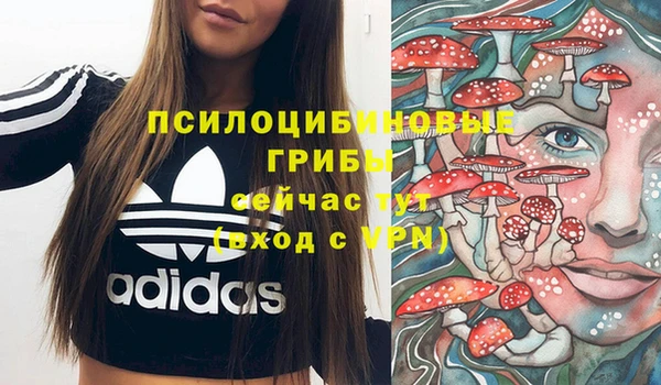 амф Лагань