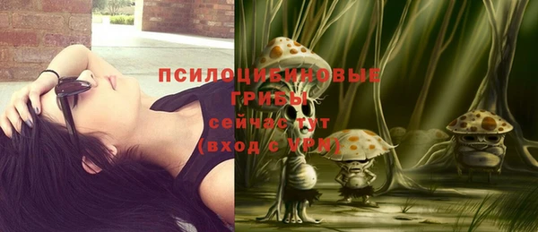 прущая мука Ладушкин