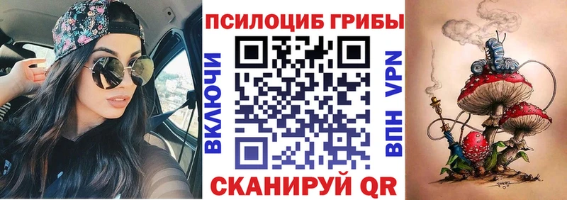 Псилоцибиновые грибы Psilocybine cubensis Звенигово